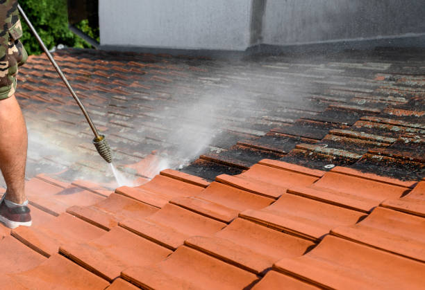 Best Roof Power Washing Services  in Beaver, UT