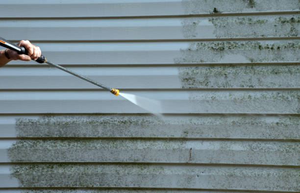 Best Pressure Washing Patio  in Beaver, UT