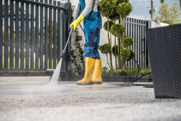 Best Roof Pressure Washing  in Beaver, UT